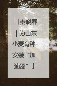 秦晓春｜为山东小麦育种安装“加速器”