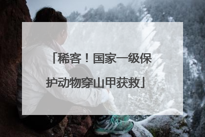 稀客！国家一级保护动物穿山甲获救