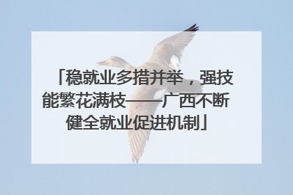 稳就业多措并举，强技能繁花满枝——广西不断健全就业促进机制