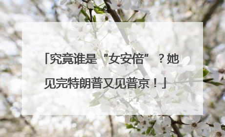 究竟谁是“女安倍”？她见完特朗普又见普京！