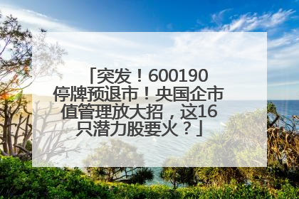 突发！600190停牌预退市！央国企市值管理放大招，这16只潜力股要火？
