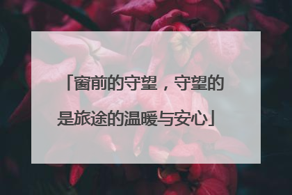窗前的守望，守望的是旅途的温暖与安心