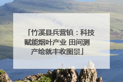 竹溪县兵营镇：科技赋能烟叶产业 田间测产绘就丰收图景