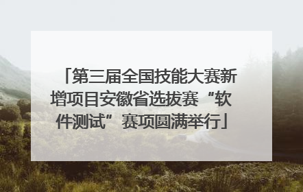 第三届全国技能大赛新增项目安徽省选拔赛“软件测试”赛项圆满举行