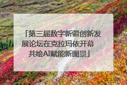 第三届数字新疆创新发展论坛在克拉玛依开幕 共绘AI赋能新图景