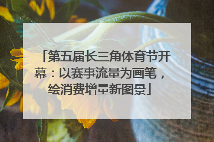 第五届长三角体育节开幕：以赛事流量为画笔，绘消费增量新图景