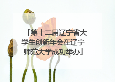 第十二届辽宁省大学生创新年会在辽宁师范大学成功举办