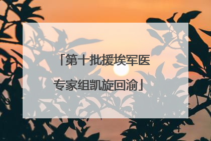 第十批援埃军医专家组凯旋回渝