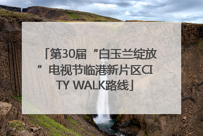 第30届“白玉兰绽放”电视节临港新片区CITY WALK路线