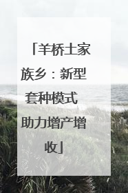 羊桥土家族乡：新型套种模式 助力增产增收