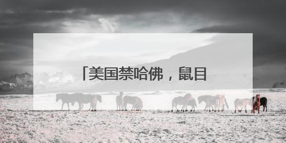 美国禁哈佛，鼠目寸光！香港科大：无条件录取转学生