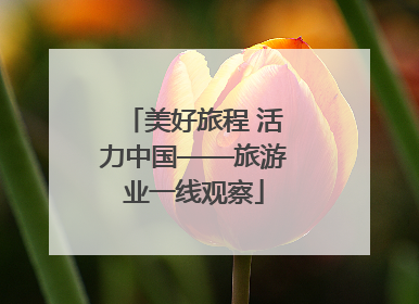 美好旅程 活力中国——旅游业一线观察