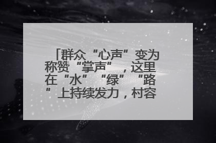 群众“心声”变为称赞“掌声”，这里在“水”“绿”“路”上持续发力，村容村貌焕然一新
