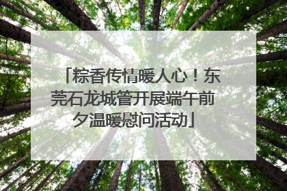 粽香传情暖人心！东莞石龙城管开展端午前夕温暖慰问活动