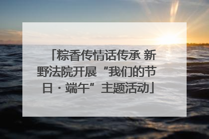粽香传情话传承 新野法院开展“我们的节日・端午”主题活动