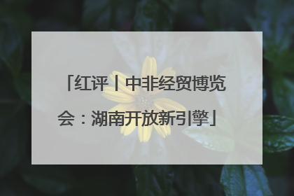 红评丨中非经贸博览会：湖南开放新引擎