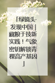 绿镜头·发现中国｜藏粮于技新实践！气象密钥解锁青稞高产基因