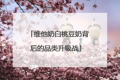 维他奶白桃豆奶背后的品类升级战