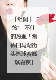 组图丨“篮” 不住的热血！常德白马湖街头篮球赛燃爆夏夜