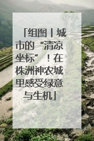 组图丨城市的“清凉坐标”！在株洲神农城里感受绿意与生机