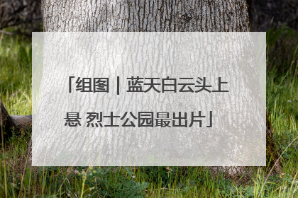 组图｜蓝天白云头上悬 烈士公园最出片