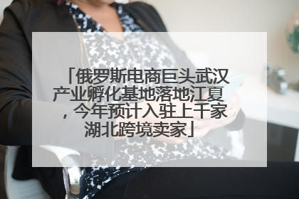俄罗斯电商巨头武汉产业孵化基地落地江夏，今年预计入驻上千家湖北跨境卖家