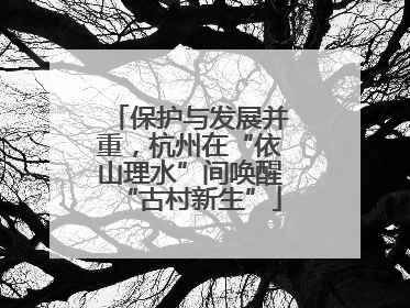 保护与发展并重，杭州在“依山理水”间唤醒“古村新生”