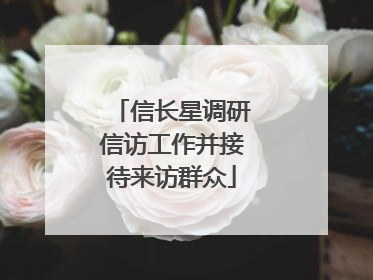 信长星调研信访工作并接待来访群众