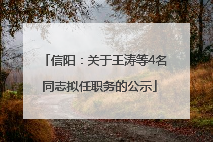 信阳：关于王涛等4名同志拟任职务的公示