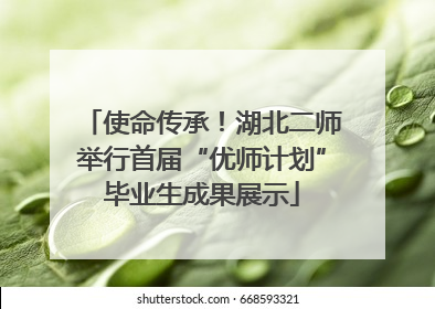 使命传承！湖北二师举行首届“优师计划”毕业生成果展示