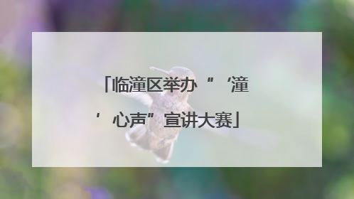 临潼区举办“‘潼’心声”宣讲大赛