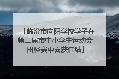 临汾市向阳学校学子在第二届市中小学生运动会田径赛中喜获佳绩