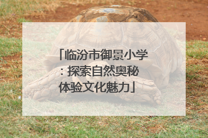临汾市御景小学：探索自然奥秘 体验文化魅力