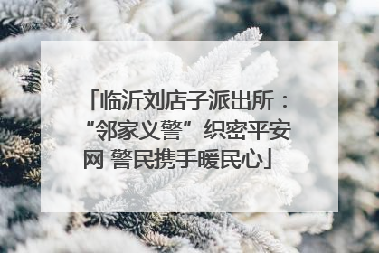 临沂刘店子派出所：“邻家义警”织密平安网 警民携手暖民心