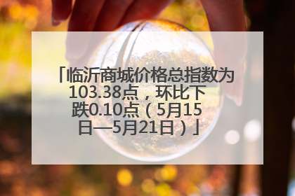 临沂商城价格总指数为103.38点，环比下跌0.10点（5月15日—5月21日）