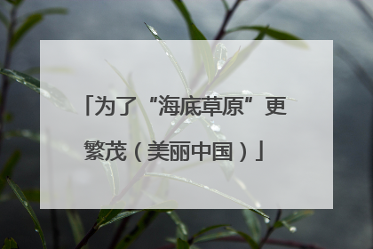 为了“海底草原”更繁茂（美丽中国）