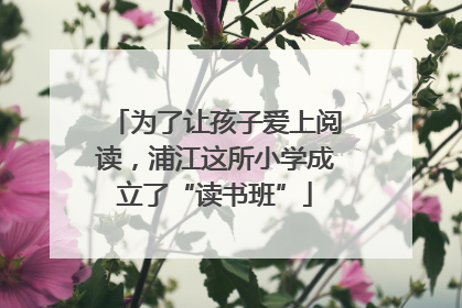 为了让孩子爱上阅读，浦江这所小学成立了“读书班”