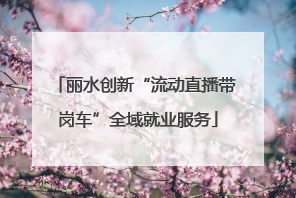 丽水创新“流动直播带岗车”全域就业服务