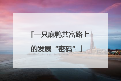 一只麻鸭共富路上的发展“密码”