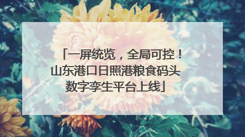 一屏统览，全局可控！山东港口日照港粮食码头数字孪生平台上线