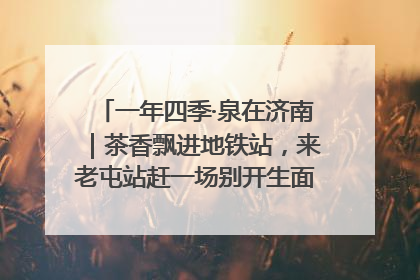 一年四季·泉在济南｜茶香飘进地铁站，来老屯站赶一场别开生面的“茶韵市集”！