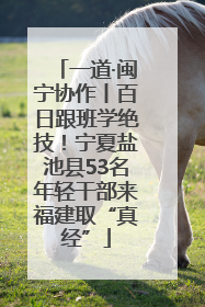一道·闽宁协作丨百日跟班学绝技！宁夏盐池县53名年轻干部来福建取“真经”