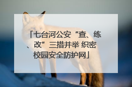 七台河公安“查、练、改”三措并举 织密校园安全防护网