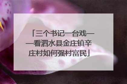 三个书记一台戏——看泗水县金庄镇辛庄村如何强村富民