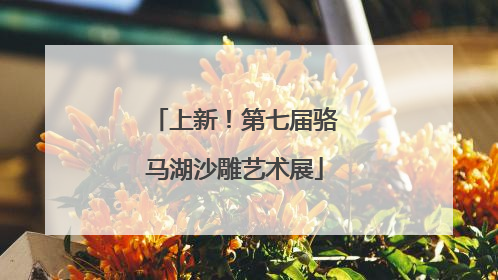上新！第七届骆马湖沙雕艺术展
