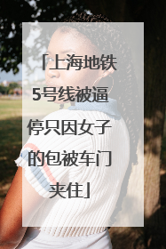 上海地铁5号线被逼停只因女子的包被车门夹住