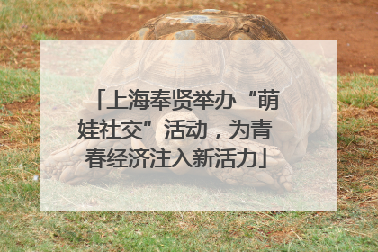 上海奉贤举办“萌娃社交”活动，为青春经济注入新活力