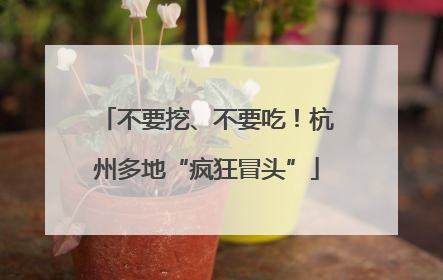 不要挖、不要吃！杭州多地“疯狂冒头”