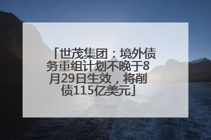 世茂集团：境外债务重组计划不晚于8月29日生效，将削债115亿美元