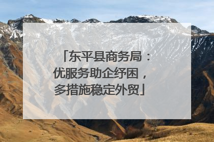 东平县商务局：优服务助企纾困，多措施稳定外贸
